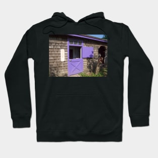 purple door Hoodie